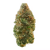 Apple Jacks - Sativa Hybrid
