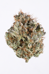 White Truffle - Sativa Hybrid