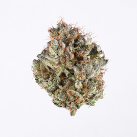 White Truffle - Sativa Hybrid