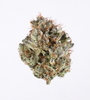 White Truffle - Sativa Hybrid