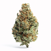 Orange Cream Pop - Hybrid