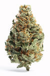 Orange Cream Pop - Hybrid