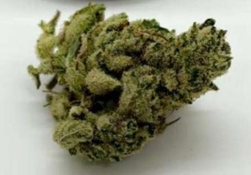 Gorilla Glue #4 (GG4) - Green Bull